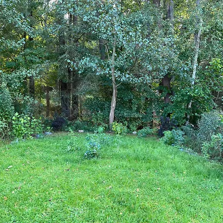 Hasenwinkel 6 Appartamento